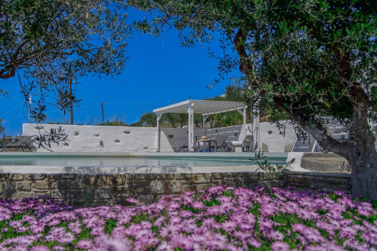 Anthemion Paros - Villas & Suites Agia Irini  Esterno foto